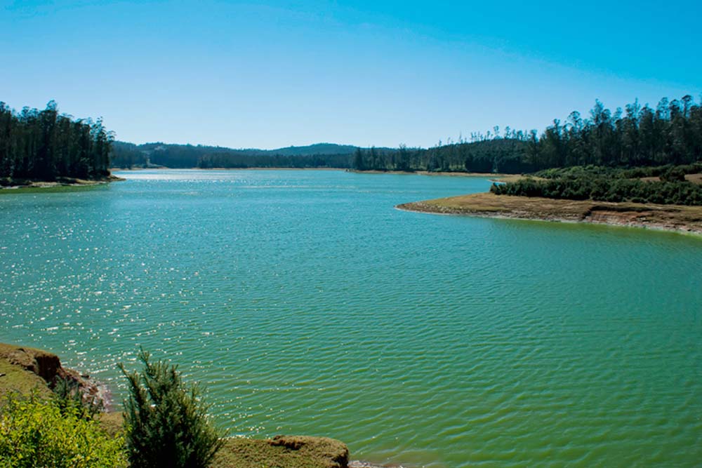 Ooty - Avalanche Lake